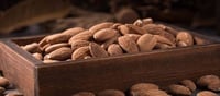 What number of almonds ought to children devour in a day?